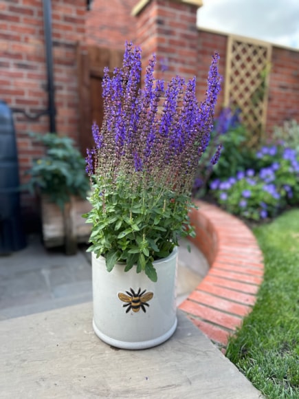 British Garden Centres New Build Garden - Containers