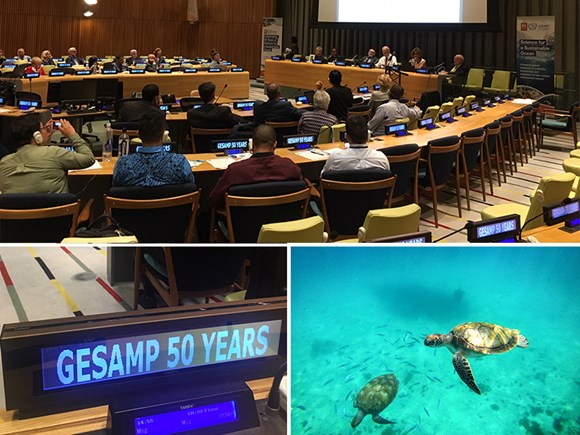 GESAMP - celebrating fifty years of service in ocean science