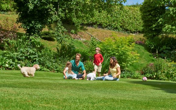 Banish dog patches in your lawn with Johnsons Lawn Seed's Tuffgrass