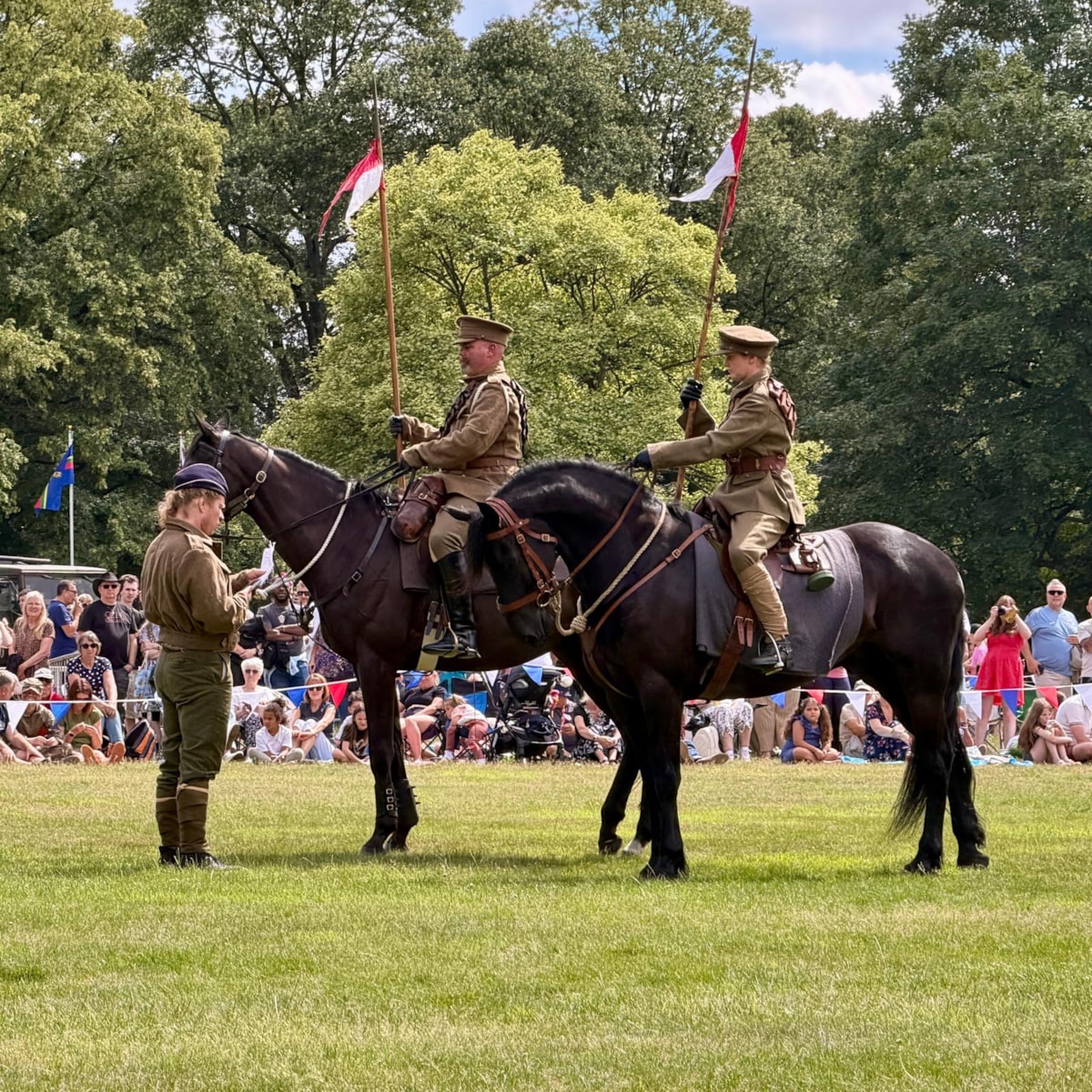 Cavalry display2
