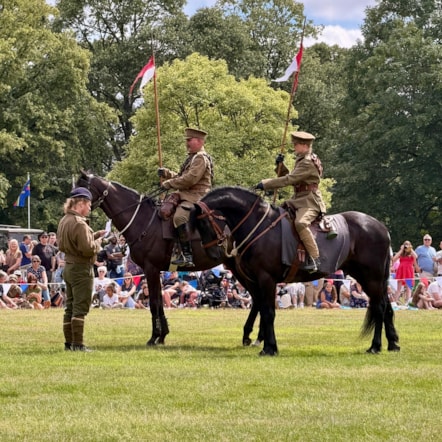 Cavalry display2