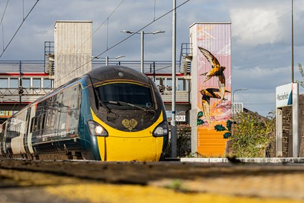 Large mural inspired by Macclesfield artist, Charles Tunnicliffe, was painted on Macclesfield station's lift tower by UK-based street artist, Peachzz.