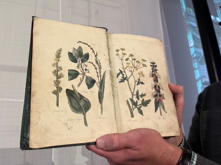 Unearthed at Leeds Central Library: On display as part of the free exhibition is a fascinating collection of beautifully illustrated manuals, compiled by some of history’s most esteemed horticulturalists.

Between their antique covers can be found centuries of accumulated wisdom about the best ways to grow fabulous fruit and vibrant veg as well as colourful flowers and fragrant herb patches.