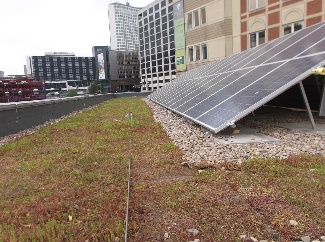 The Lamp Block - roof: The new block built at the northern end of Platform 1 to accommodate CrossCountry staff has solar panels to generate electricity. Sharing the space with the solar panels is the building’s green roof, containing over 14 different species of plant to contribute to the area’s local ecology and reduce rainwater run off into the drainage system.

The building is called The Lamp Block because it is built on the site of the19th Century depot which supplied gas lamps to workers who maintained the railway tunnels either side of New Street station.