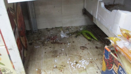 Your Local Butchers 1