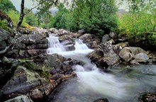 Creag Meagaidh National Nature Reserve-2