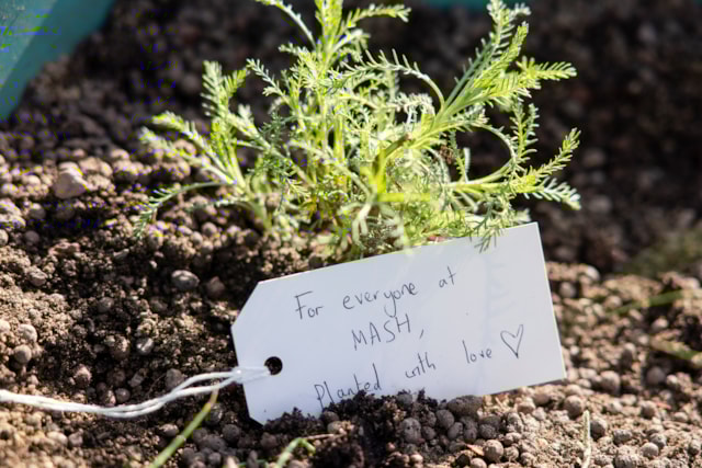 Manchester Piccadilly station sanctuary: Manchester Piccadilly station sanctuary