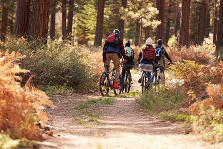 A family enjoy a cycle in a pine wood.
