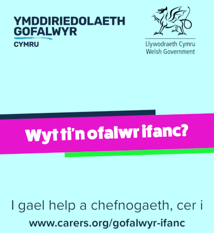 Gofalwr Ifanc - 1