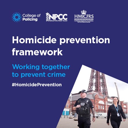 Homicide-prevention-framework-500x500