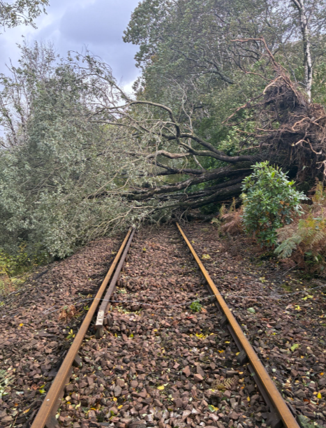 Storm Amy 3: Storm Amy 3