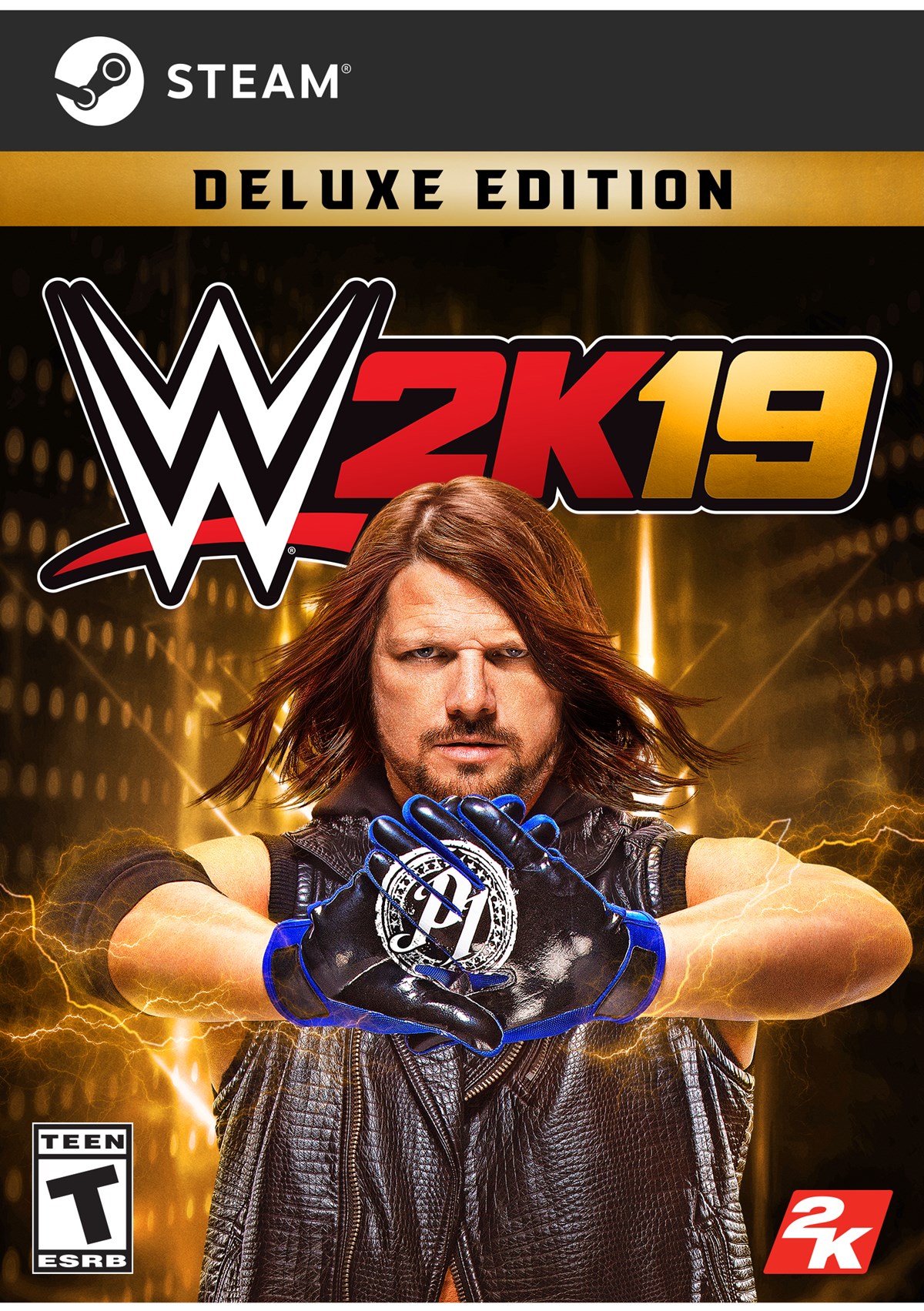 WWE2K19 DE STEAM FOB (ESRB)