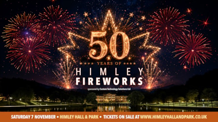 Himley Fireworks-4