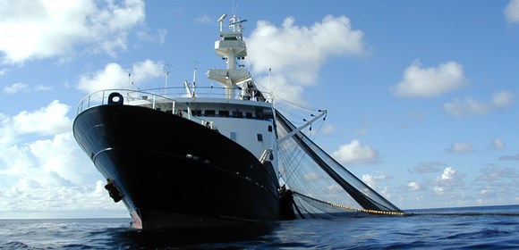 IMO webinars put fishing vessel safety high on agenda: Cape Town Agreement PB2020