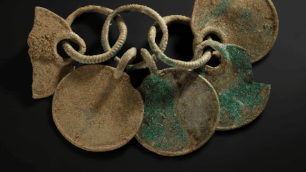 Pre-conservation images of the Pebbles Hoard