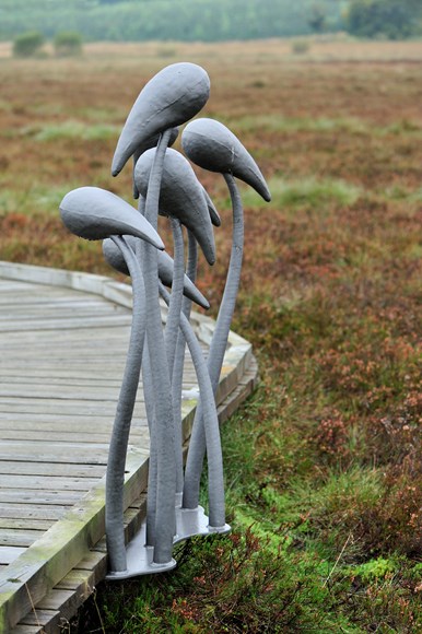 Sculptures at Blawhorn Moss NNR near Blackridge ©Lorne Gill SNH