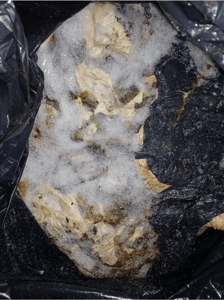 Black bag of unidentified unlabelled meat