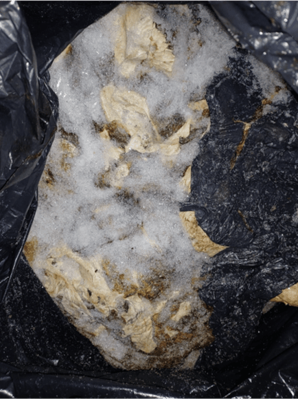 Black bag of unidentified unlabelled meat
