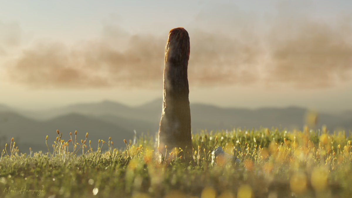 Artist impression of what Prototaxites would have look like in life, credit Matt Humpage