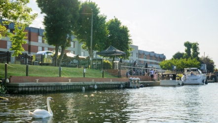 The Runnymede on Thames-54