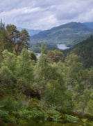 Glen Affric in the Scottish Highlands - credit Simon Mayson: Glen Affric in the Scottish Highlands - credit Simon Mayson