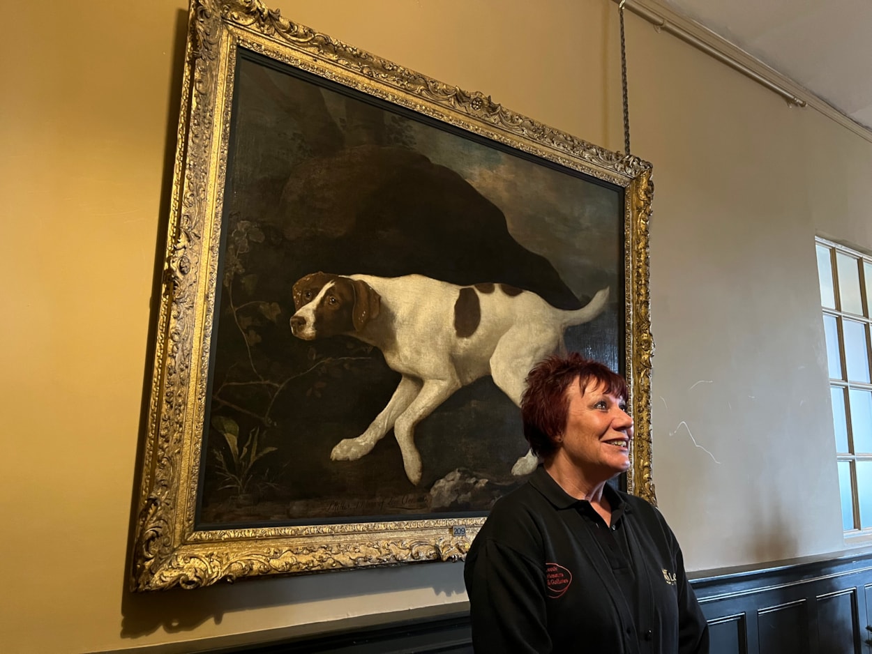 Pet portrait: Visitor assistant Deborah Crossley with the beautiful oil painting of Lord Clermont’s faithful canine companion, which has gone on display to visitors for the first time in a number of years, following a loan spell at Wentworth Woodhouse in Rotherham.

Painted by celebrated artist George Stubbs in 1772, the portrait of Phillis was commissioned by her owner William Henry Fortescue, Lord Clermont, a keen sportsman who kept a sizeable kennel, but who was known to be particularly fond of Phillis.