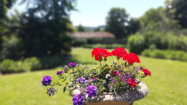 Planning inspector backs council plans to protect green belt