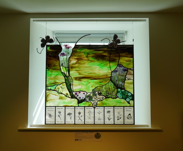 Marta Sienkiewicz's Species on the Edge-inspired stained glass panel (c) Eilidh Ross