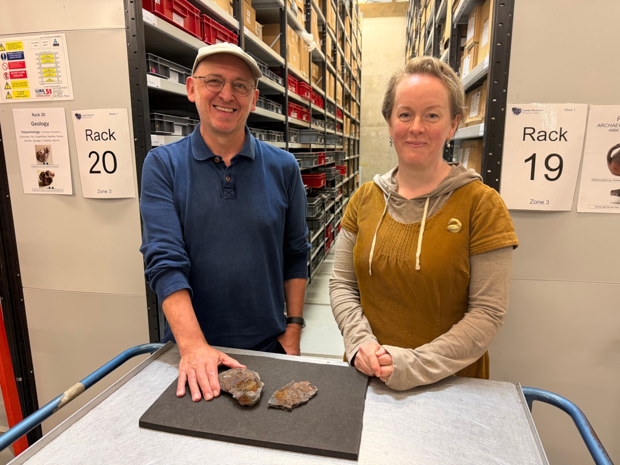 Coelacanth discovery: Geologist Ru Smith, left, with Curator Clare Brown and the skull bone of a coelacanth found by Ru at Roundhay Park earlier this year.
The well-preserved, prehistoric skull bone was frozen in time aeons ago during an era when the park was submerged under a vast tropical lagoon.
