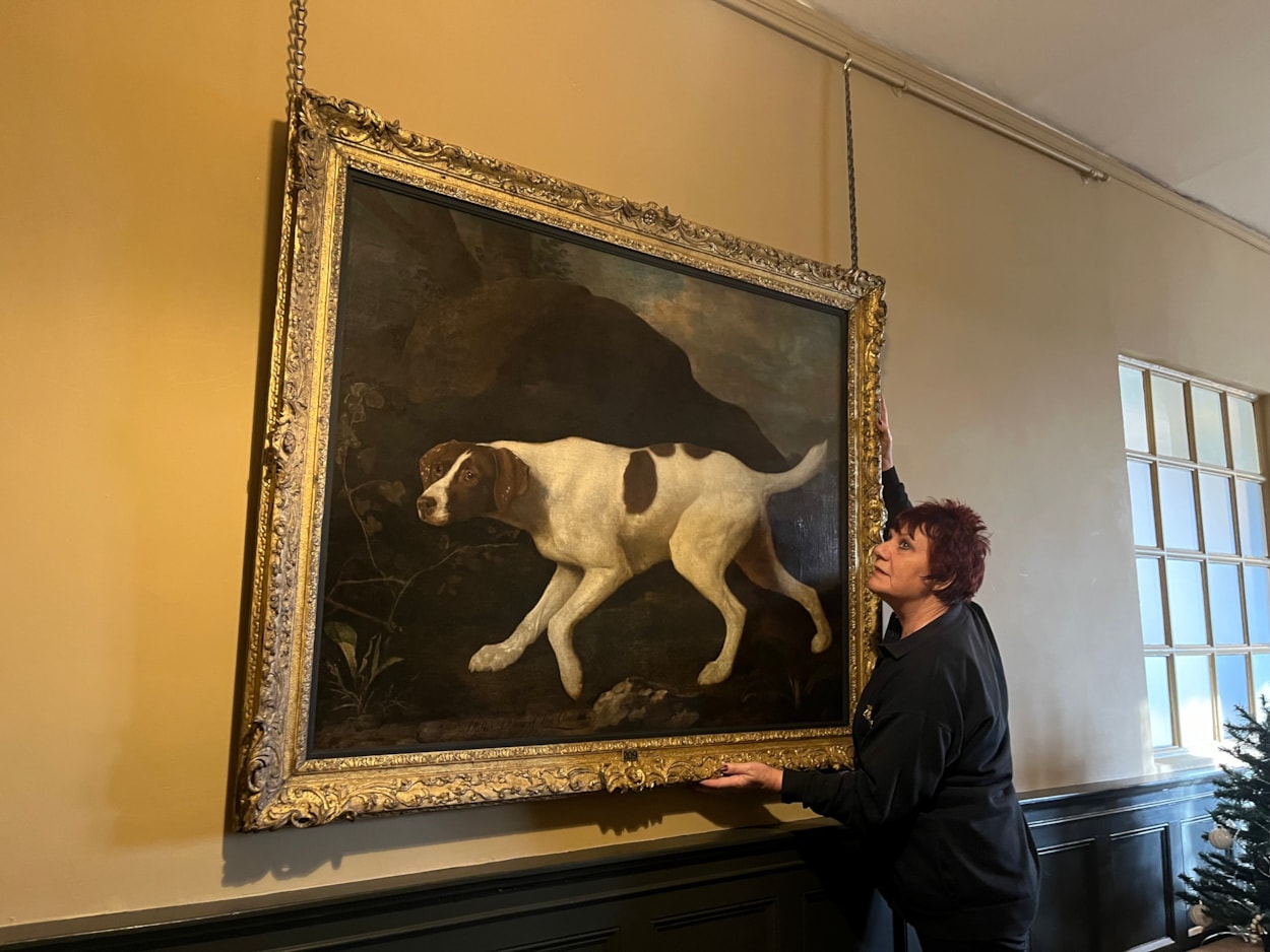 Pet portrait: Visitor assistant Deborah Crossley with the beautiful oil painting of Lord Clermont’s faithful canine companion, which has gone on display to visitors for the first time in a number of years, following a loan spell at Wentworth Woodhouse in Rotherham.

Painted by celebrated artist George Stubbs in 1772, the portrait of Phillis was commissioned by her owner William Henry Fortescue, Lord Clermont, a keen sportsman who kept a sizeable kennel, but who was known to be particularly fond of Phillis.