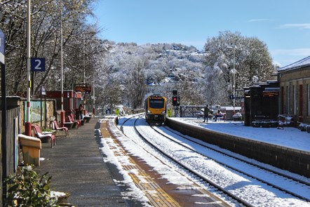 JAN-Harry Gribbins-Todmorden