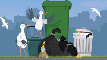 Joint gull management plan launched