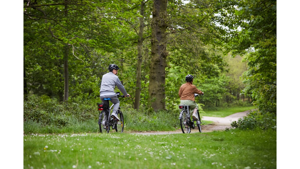 Electric bikes