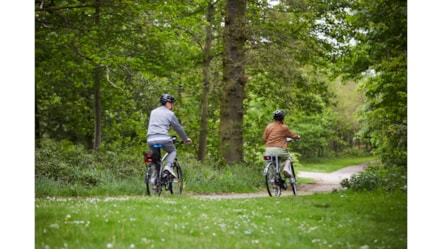 Electric bikes