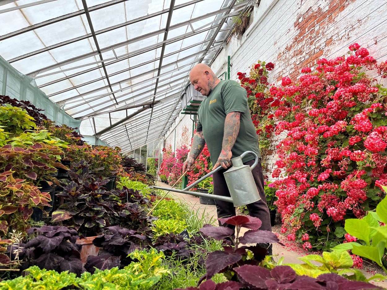 Temple Newsam hothouse: Temple Newsam's head gardener Mick Jakeman waters the  hothouse's stunning national collection of Coleus, grown for their colourful patterned leaves. The team has even developed around 20 new varieties including one called “Temple Newsam”.