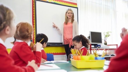 Teacher pointing at board in a primary school class. cropped