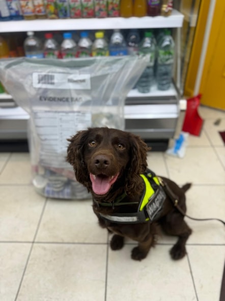 Hugo on the day of action