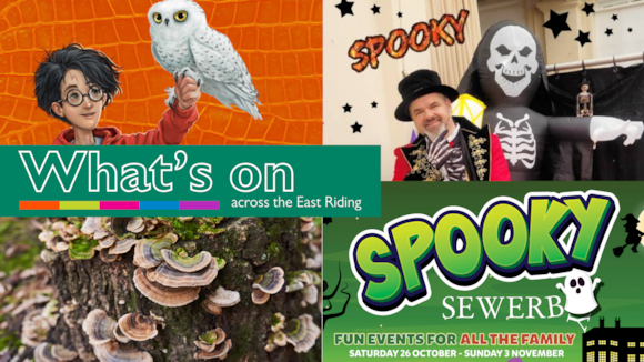 Take a look at what's on across the East Riding: What's on PR (16) (1)