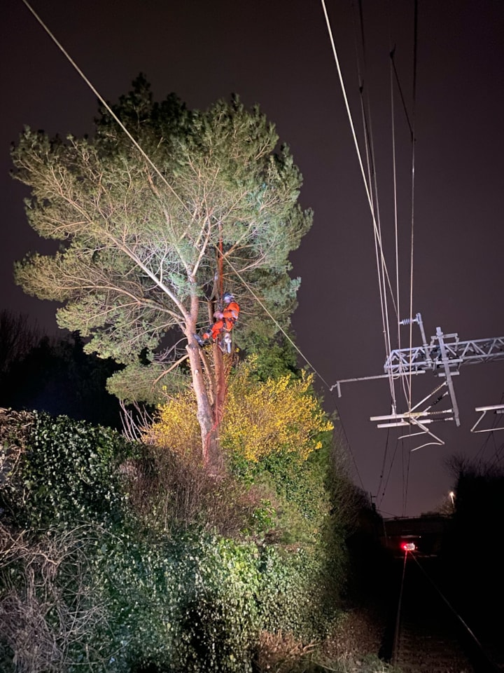 Merseyside management