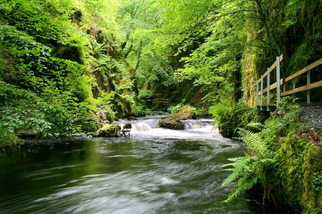 Ness Glen