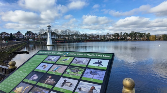 Roath Park