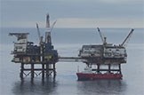 Oil industry to thrive with independence: Oil-Energy-Gas