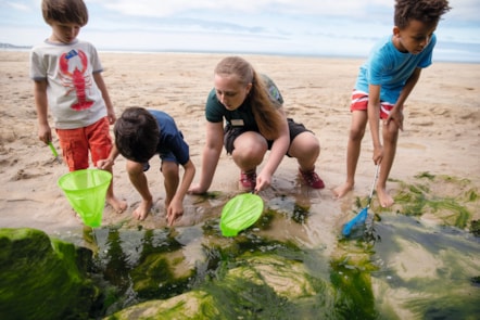 Nature Rockz rock pooling at Riviere Sands