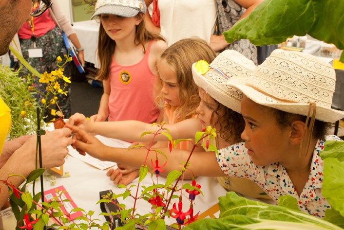 Honey, I'm taking the kids to London: a long family weekend in the capital: © Royal Botanic Gardens, Kew