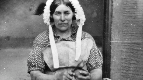 Tattie harvest, Scottish Life Archive