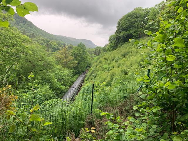 No battle over Killiecrankie fencing renewal: Killiecrankie Fencing image