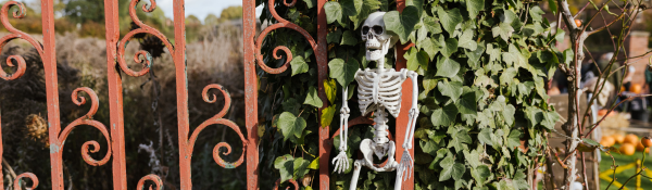 Halloween at Home Farm