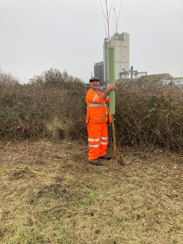 Network Rail's Carl Pollard placing a sleeve over one of the planted trees
