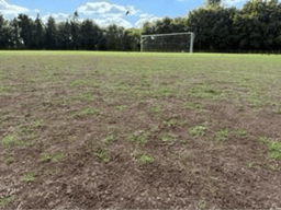 Current state of local pitches in Fairford