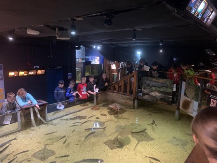 This image shows children from Shackles off enjoying the aquarium
